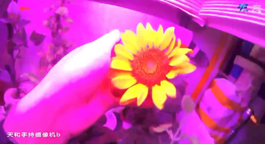 天宮TV|欣欣向榮,值得期待!